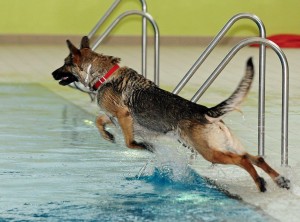 schwimmen30_