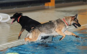 schwimmen7a_