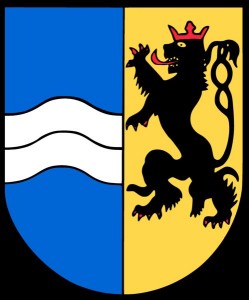 616 - RNK Logo