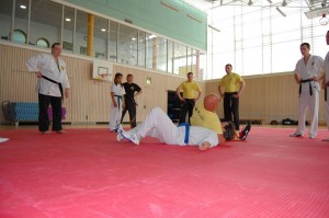 654 - ESDO 4 Ringkampf
