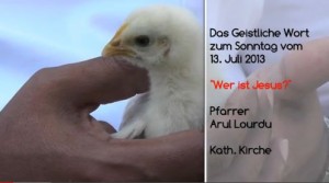 673 - Küken
