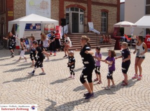 683 - Diljemer Sommer 1