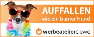 Clewe Banner 300x120