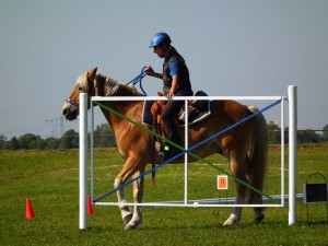 744 - Kürbisritt