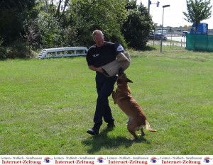 799 - PD Hundestaffel 12