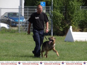 799 - PD Hundestaffel 4