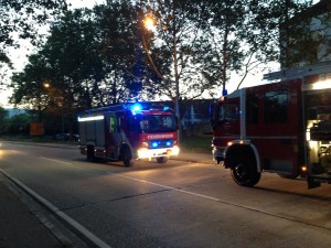 811 - Brand Leimen 3