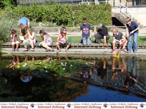 870 - Botanischer Garten 3 Käschern