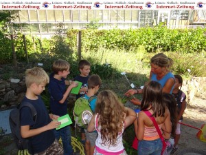 870 - Botanischer Garten 4 Pflanzen