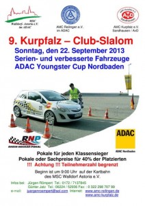 Plakat_2013_CS