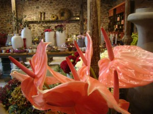 1049 - Blumenwerksattt