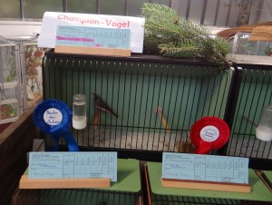 1078 - Vogelzüchter SA - 4