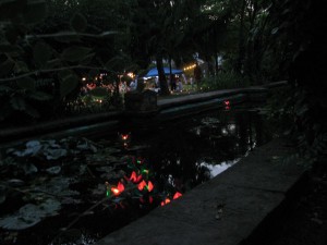 973 - Menzerpark Liedertafel Lichterfest 3
