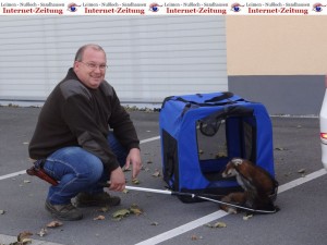 988 - Fuchs 2