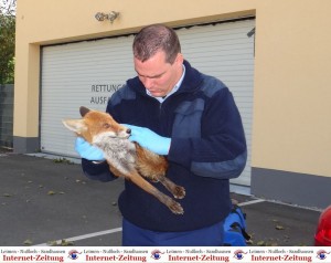 988 - Fuchs 4