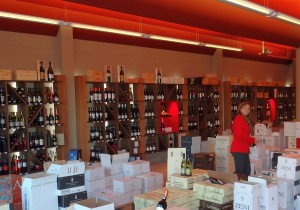 Villa di Vino 2078 - Marion Schneider - Villa di Vino