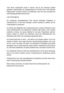 2127 - Haushaltsrede BGM Kletti - Sandhausen - 5