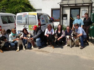 2255 - Hunde