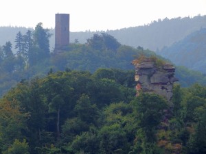 Pfälzer Wald 4