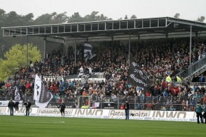 3503 - Pauli vs SVS