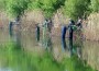 ASV Leimen und ASV Sandhausen fischten und feierten gemeinsam