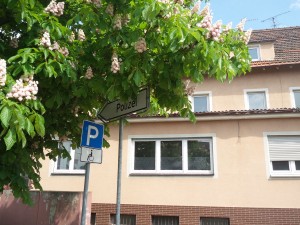 3618 - Polizeischild 2