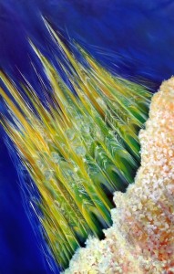 3744 - Kraft Vernissage Lobach 4