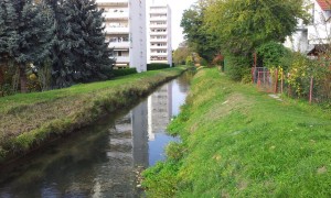 4007 - Leimbach bei Leimen