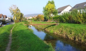 4007 - Leimbach in Nußloch