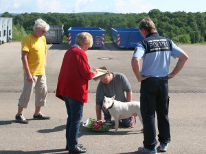 4008 - Verhaltensprüfung_Kampfhunde _Tüte_Lärm