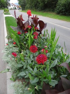 4021 - Straßenblumen Sandhausen 3