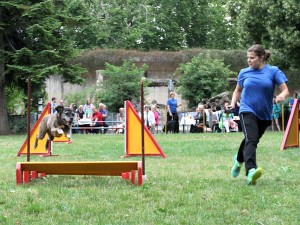 4026 - Hundefreunde GA im Zoo HD - 6