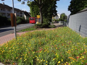 4029 - Wiesenblumen 4
