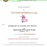 4448 - Kathreinenball Banater Schwaben