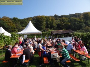 4292 - Weinbergfest 3
