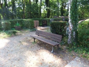 4300 - Bank Friedhof St.Ilgen Baumgräber 003