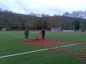 4569 - VfB Laubaktion