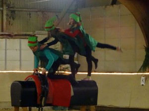 4645 - Reitverein Xmas - 3