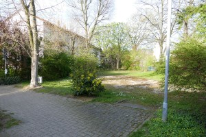 2038 - Urban Gardening - 2