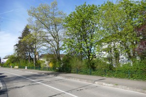 2038 - Urban Gardening - 4