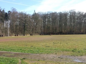 5018 - Waldsportplatz Nussloch