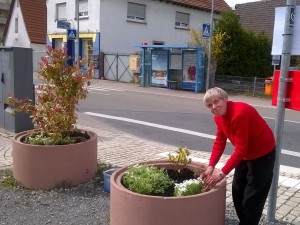 5063 - Blumenkübel-Bepflanzung