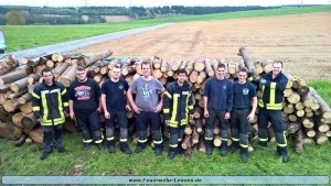 2130 - FFW Leimen Feuerholz