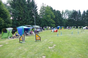 5288 - Hundefreunde GA - Agility - 1