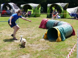 5288 - Hundefreunde GA - Agility - 2