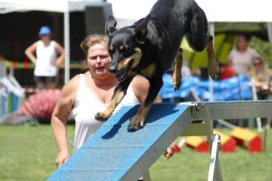 5288 - Hundefreunde GA - Agility - 4