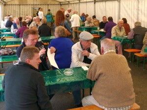 5310 - AWo Probsterwaldfest - 1