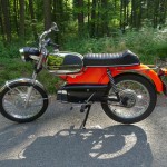 5366 - Schuppenflitzer 1