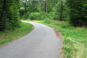 5415 - Asphaltierter Waldweg