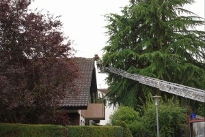 5434 - Blitzeinschlag Walldorf 2